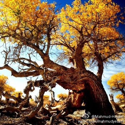 كونا كادىر (ھېكايە)