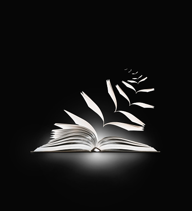 بىر يىللىق نادامەت