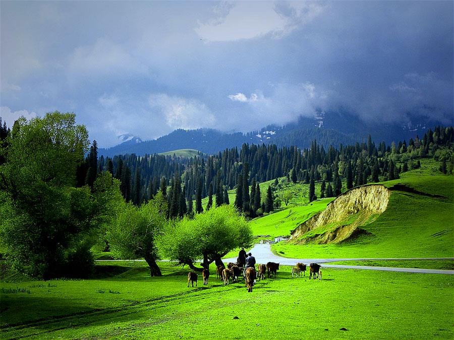 نەۋرۇز خاتىرىلىرى