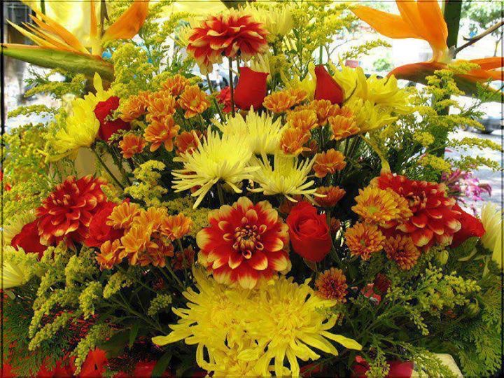 قىزلار ياتىقىدىن ياڭرىغان كۈلكە&nbsp;(ھېكايە)