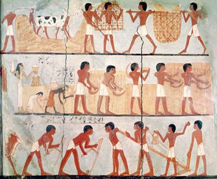 ساپىيانس: ئىنسانلارنىڭ قىسقىچە تارىخى&nbsp;(9)